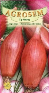 resized300_Seminte Ceapa rosie - Rossa lunga di Firenze.webp Ceapa rosie - Rossa lunga di Firenze (1,5 g) seminte ceapa rosie, Agrosem